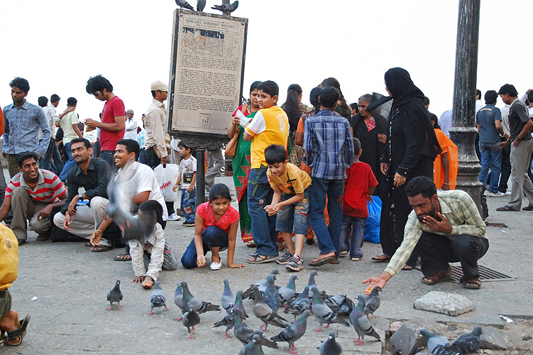 Kinder fttern Tauben am Gateway of India, Mumbai
