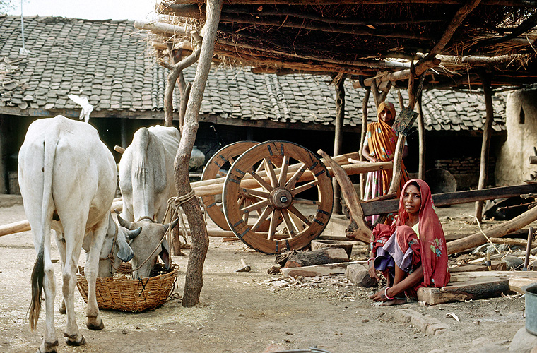  Gehft in einem Bhil-Dorf, Madhya Pradesh