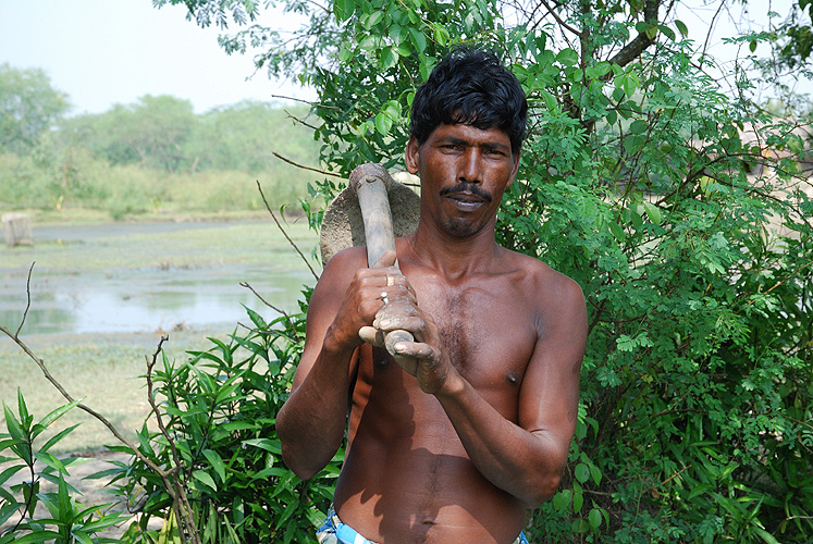Bauer im Sumpfgebiet Sunderbans, West-Bengalen