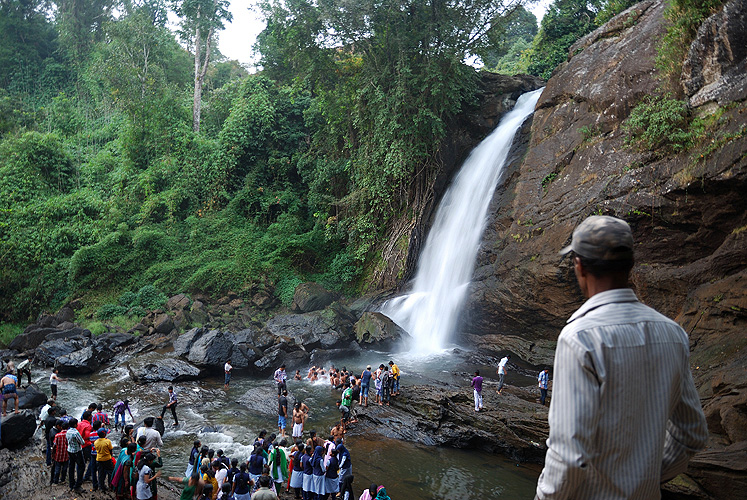  Wasserfall in Wayanad, Western Ghats