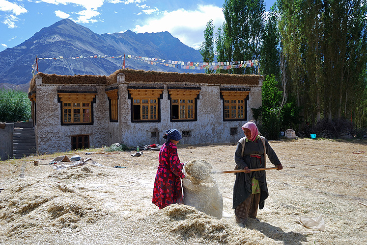 Traditionelles Bauernhaus  - Ladakh  11