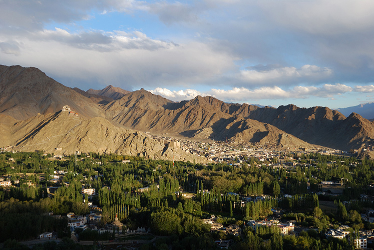 Blick auf die Hauptstadt Leh - Ladakh 22