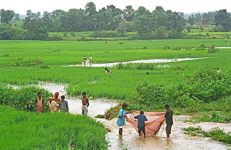 Mit bunten Tüchern auf Fischfang, Jharkhand - Monsun 08