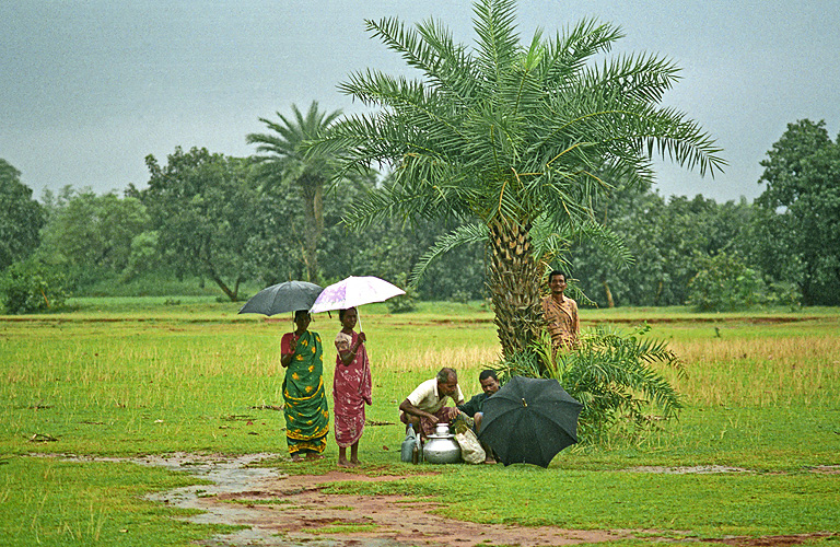 Pause unter einer Palme - Monsun 11