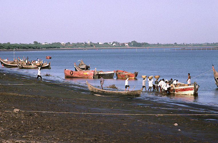 Fischerhafen im Mündungsgebiet, Gujarat - Narmada-Fluss 13