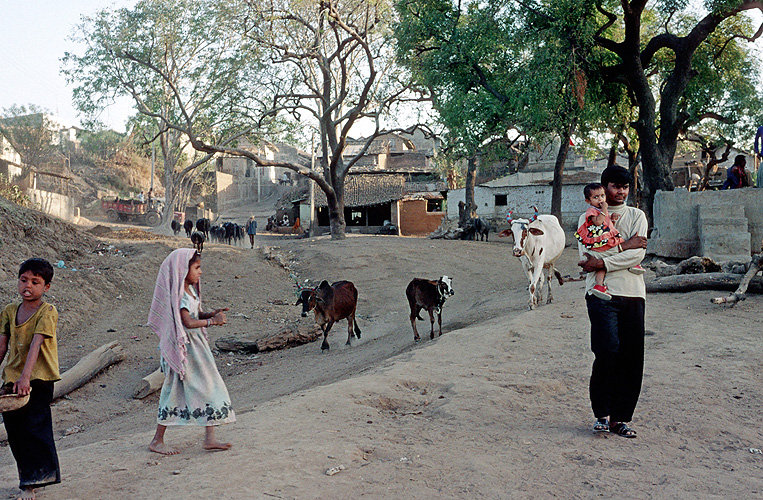Dorf am Ufer der Narmada, Madhya Pradesh - Narmada-Fluss 16