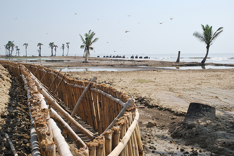 Erdwälle und Bambuszäune sollen die Küste vor Erosion schützen - Sunderbans 20