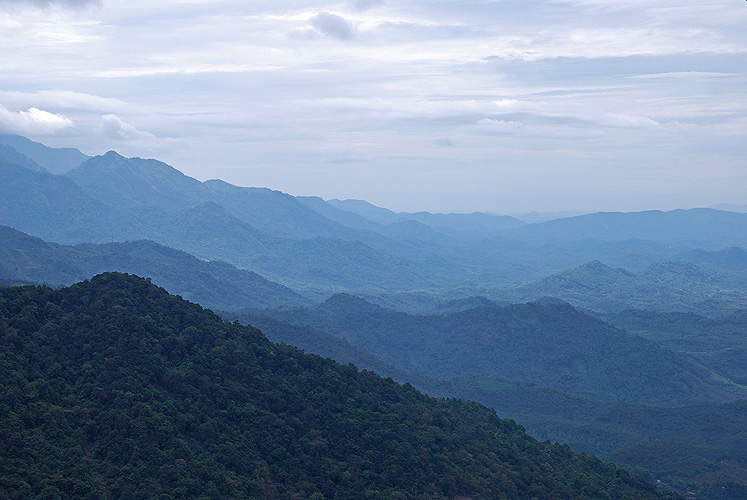 Dschungelbedeckte Berge im südlichen Kerala - Western Ghats 01