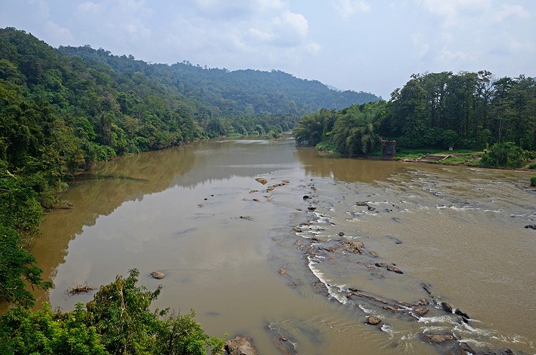 Der Periyar-Fluss in den Western Ghats-Bergen in Kerala - Western Ghats 18