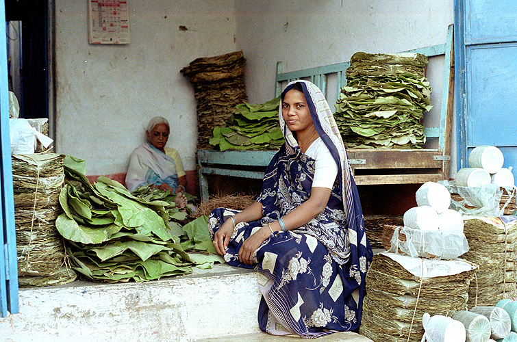 Verkauf von Einwegtellern aus Baumblättern, Madhya Pradesh