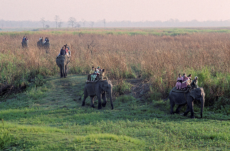 Elefantenritt im Kaziranga-Nationalpark, Assam - Touristen 15