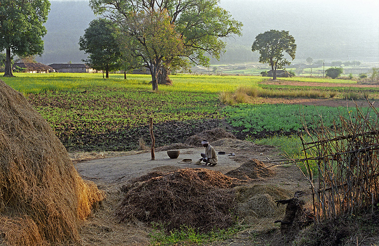  Adivasi-Bauer in Madhya Pradesh 