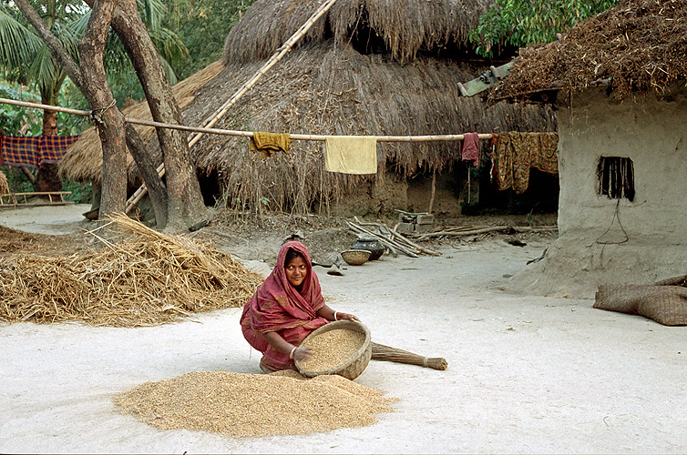 Getreidesäubern in einem Dorf in West Bengalen