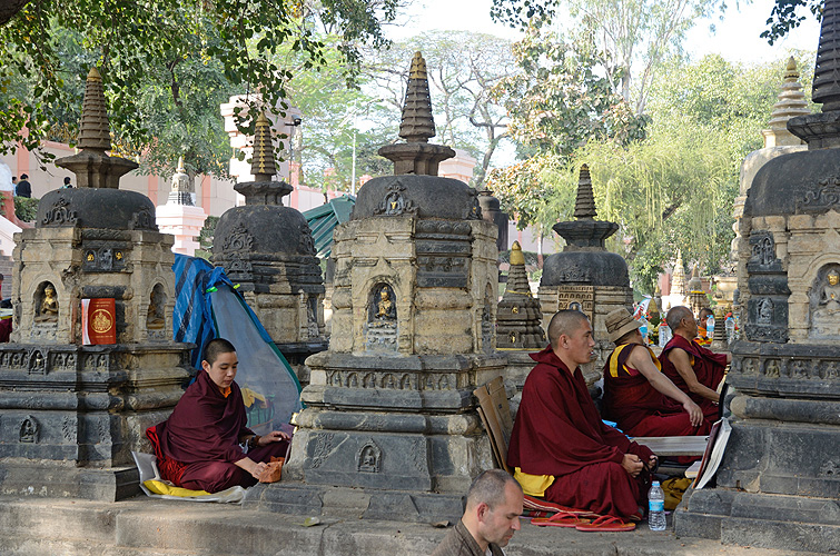 Mönche und Nonnen beten am Bodhi-Baum, Bodh Gaya