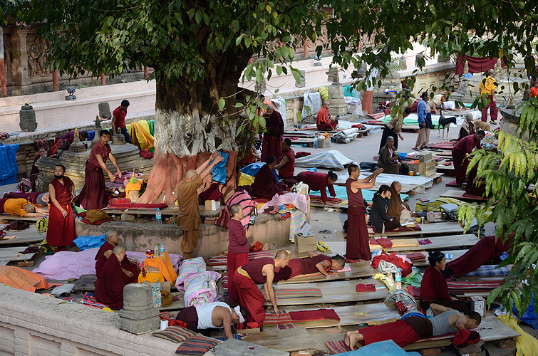 Tibetische Mönche verneigen sich im Gebet, Bodh Gaya