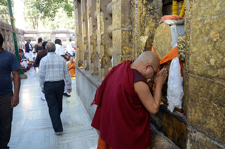 Ein Mönch verehrt den Bodhi-Baum, Bodh Gaya