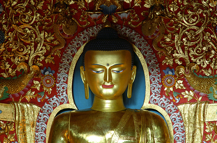 Tibetischer Buddha, Dharamsala