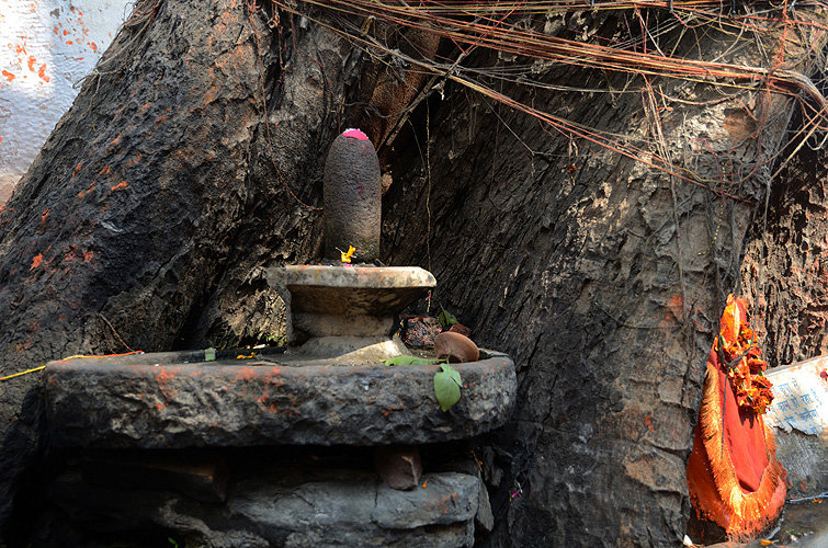 Shiva-Lingam unter heiligem Baum, Varanasi