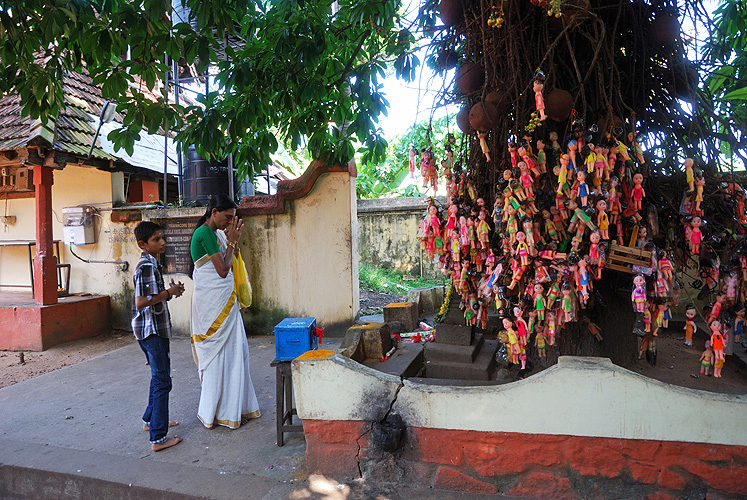 Ein heiliger Baum, der Kinderwünsche erfüllt, Kerala