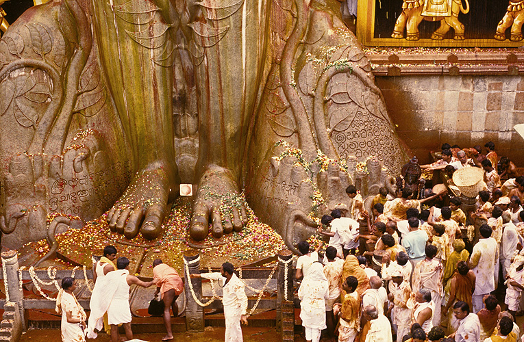 Jain-Fest Mahamasthak Abhisheka in Sravanabelgola, Karnataka  